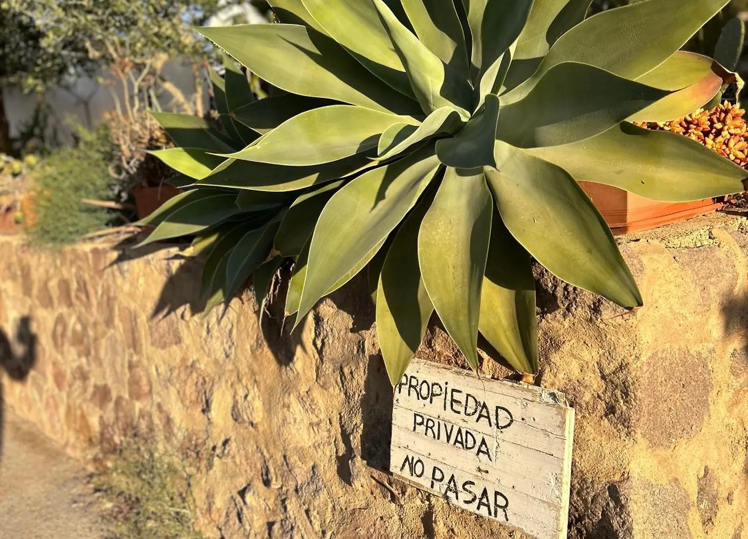 Casa Rous Villa Nijar Spain